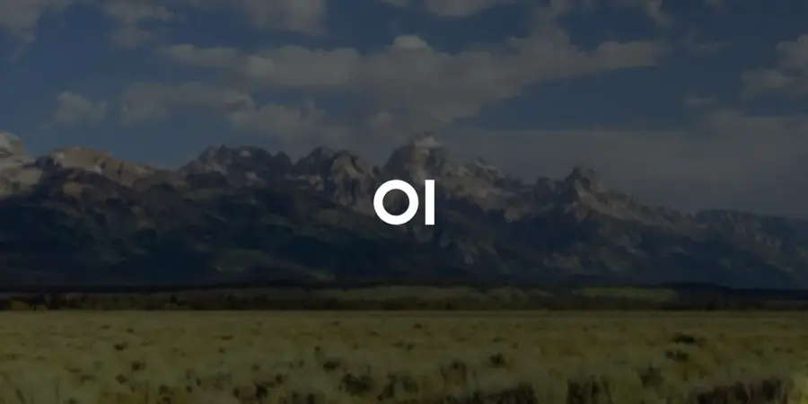 Open WebUI official preview image